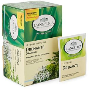 L'angelica, Tisana Drenante, Tisana Funzionale Che Favorisce il Drenaggio e L'Eliminazione dei Liquidi in Eccesso Grazie a Ortosiphon e Finocchio - Confezione da 18 Filtri - Image 2