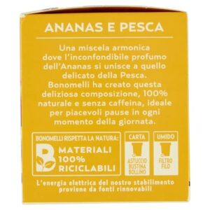 Bonomelli Infusi Fruttosi, Ananas e Pesca, Confezione da 12 Filtri, Gusto Dolce e Vellutato, Infusione a Caldo e a Freddo, Ingredienti 100% Naturali (24g) - Image 5