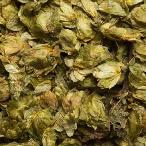 Tè ai fiori di luppolo biologico 100g | Humulus Lupulus L. | Tè al luppolo | imbottigliato e controllato in Germania | Biotiva - Image 3