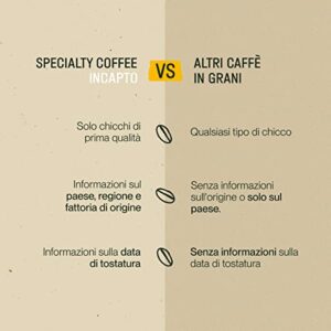 Incapto Caffè in Grani di Specialità 1kg | Origine Brasile | 100% Arabica | Specialty Coffee 84 punti SCA | Tostatura Natu... - Image 5