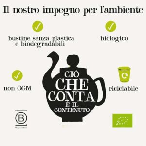 CUPPER Happy Mondays Infuso Biologico con Limone, Zenzero e Pepe Nero, Tisana Energizzante con Ingredienti Naturali, Gusto Speziato, Filtri 100% Biodegradabili, Confezione da 20 Bustine - Image 5