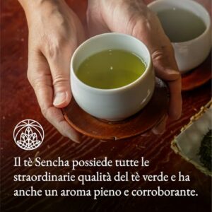 Sencha The Verde Monte Nativo (200g) - Tè Verde Sfuso - Tè Verde Sencha di Qualità Superiore - Te Regalo - Tè Alle Erbe - Image 5