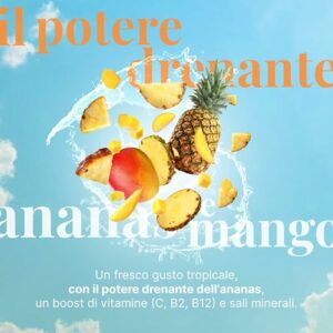 L'Angelica, Waterstick, Gusto Ananas e Mango, Drenante, Con Vitamine e Minerali, Contro Stanchezza e Affaticamento, Zero Zuccheri & Zero Calorie, Senza Conservanti, 1 Astuccio da 12 Stick - Image 4