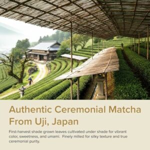 VAHDAM Matcha Cerimoniale 30g | Autentico Matcha Ceremonial Grade da Uji, Giappone | Polvere Ultra-Fine e Vellutata | Senza Amaro, Aroma Fresco - Image 3